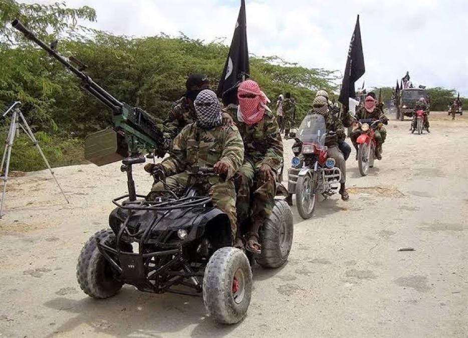 Former Nigerian Senator Reveals Mercenary Deployment Against Boko Haram