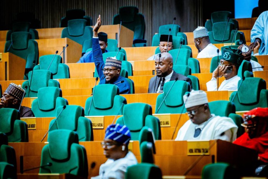 Nigerian Lawmakers Want to Jail Citizens Who Don’t Vote