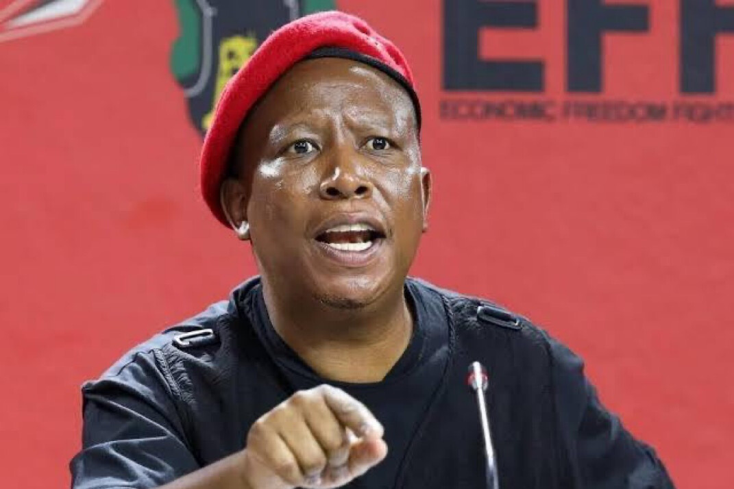 “Old Men in Suits Gossip About Me in Washington” Julius Malema Fires Back Loud and Clear
