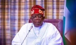 Niger Delta Congress Slams Tinubu Government Over Benue Killings