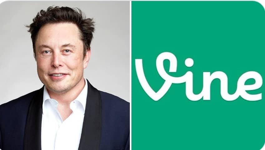 Elon Musk Announces Return of Vine with AI Integration, Set to Relaunch  Late 2025