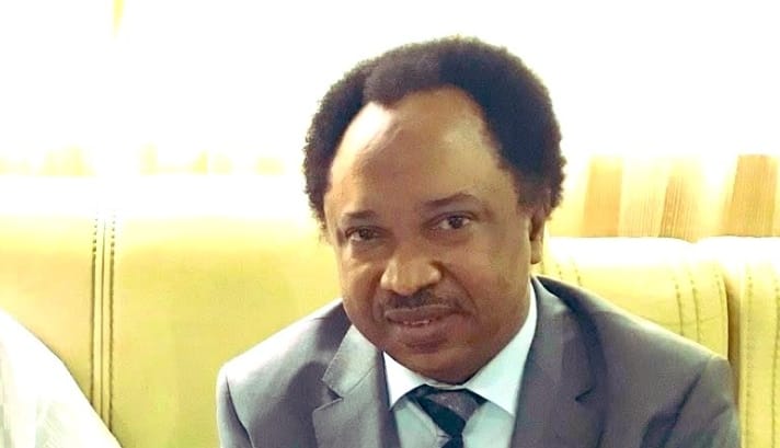 Shehu Sani Criticizes Neglect of Public Education Amid Unutilized N250 Billion UBEC Fund