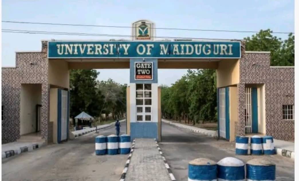 Reactions As President Tinubu Renames University of Maiduguri After Muhammadu Buhari